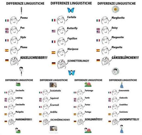 im  linguistic differences