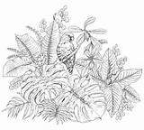 Tropicali Tropical Pappagallo Piante Coloring Colorare Tropicales Perroquet Reposant Plantes Profilo Terapia Adulti Foglie Bambini Monochrome Seduta Parrot sketch template