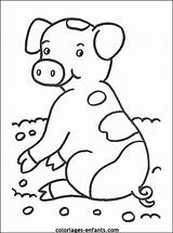 Varken Boerderij Boerderijdieren Cochons Little Coloriages Dieren Tekeningen Kleuter Modder Varkentje Cochon Ferme Meer Downloaden Animées sketch template