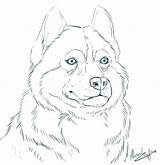 Husky Coloring Pages Siberian Alaskan Dog Line Realistic Drawings Bing Drawing Print Horse Sketch Google Animal Colouring Board Wolf Cute sketch template
