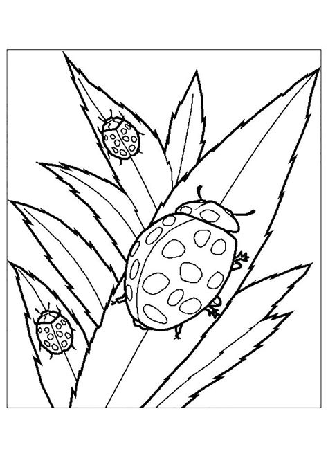 coloring pages  kids insects color pictures email pictures