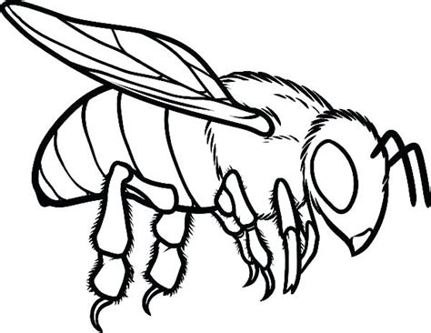 flying bee drawing  getdrawings