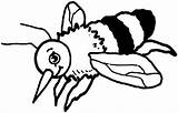 Coloring Bumble Bee Pages Outline Bumblebee Cliparts Clipartbest Clipart Computer Designs Use sketch template