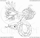 Snake Tree Coloring Outline Clipart Illustration Royalty Rf Bannykh Alex Drawings sketch template