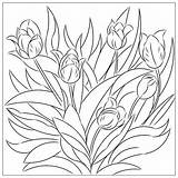 Tulips Florian sketch template