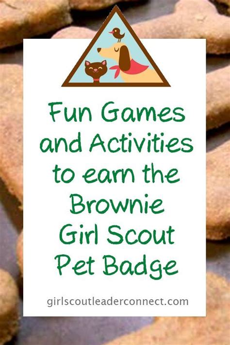 brownie pets badge ideas images  pinterest brownie pet