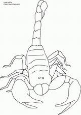 Scorpion Coloring Pages Printable Scorpions Color Invertebrate Kids Front Popular Print sketch template