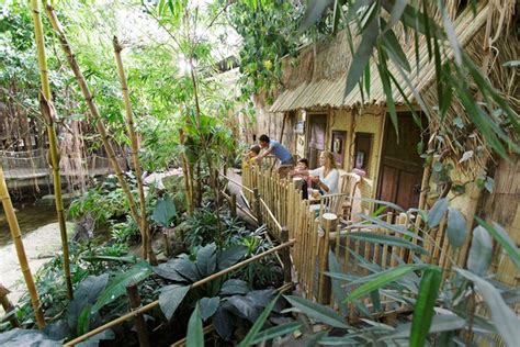 jungle lodges   netherlands indoor jungle dome atcenterparcs leisure accommodations