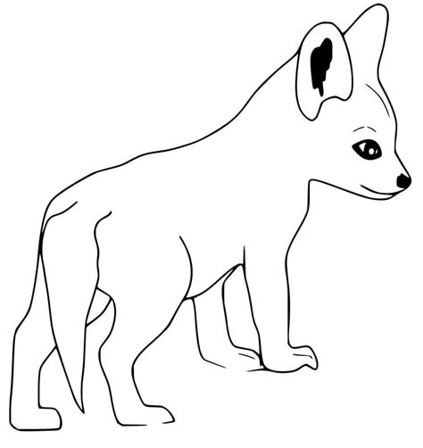 baby fennec fox coloring page  printable coloring pages  kids