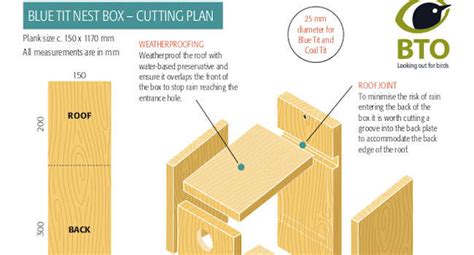 wooden nest box design