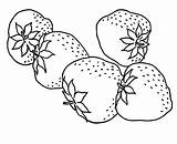 Morangos Morango Colorironline Frutas sketch template