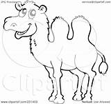 Camel Outline Clipart Coloring Illustration Royalty Visekart Rf Background Version sketch template