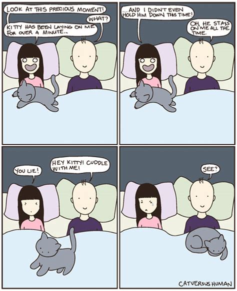 15 hilarious comics that perfectly capture life with cats