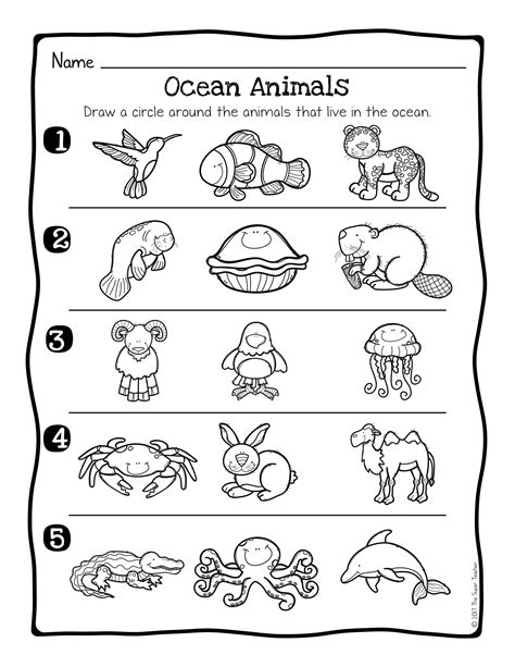 animal habitat worksheet  kindergarten kindergarten worksheets