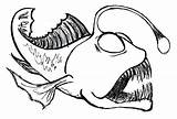 Fish Drawing Saltwater Getdrawings Angler sketch template
