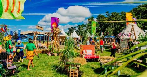 the top 5 things you need to check out at electric picnic her ie