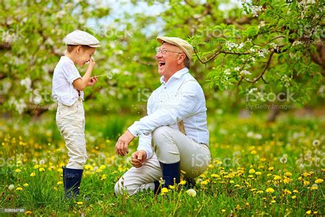 Happy Grandpa With Grandson Blowing Dandelions In Spring Garden Stock