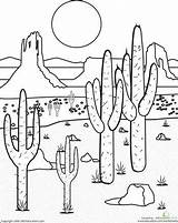 Desierto Cactus Giddy Junction Colouring Mojave Landscaping Vbs Ecosistema Bordado Biome Plains Scene Paisaje Google Ecosystem Longs Roam Child Bordados sketch template