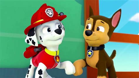 Ask Or Dare The Paw Patrol Chase X Marshall Wattpad