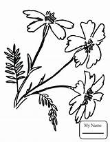 Coloring Wildflower Pages Flower Wild Printable Wildflowers Clipartmag Drawing Color Getdrawings Getcolorings sketch template