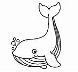 Whale Coloring Little Animals Book Pages Coloringcrew Drawing sketch template