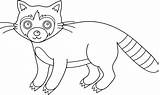 Raccoon Clip Line Colorable Coloring Sweetclipart sketch template