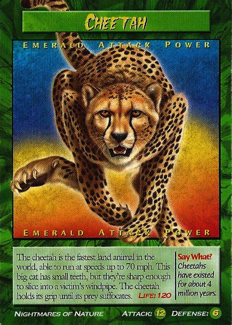 cheetah tcg emerald attack weird  wild creatures wiki fandom powered  wikia