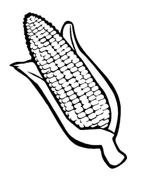 indian corn drawing  getdrawings