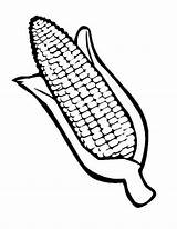Corn Coloring Cob Drawing Pages Indian Stalks Stalk Field Getdrawings Print Size Autumn Fall Popular sketch template