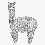Lama Coloring Pages Alpaca Mandala Llamas Coloriage Kawaii Adult Printable Difficile Cute Animal Zentangle Comments Doodle A5 Popular Book Ca sketch template