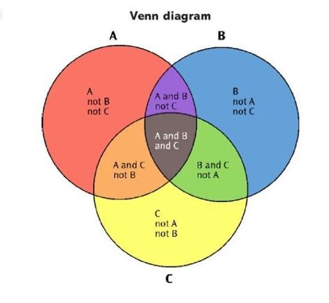 explain   venn diagram brainlyin