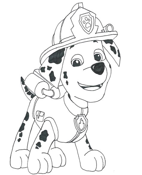 marshall paw patrol coloring pages  print color craft