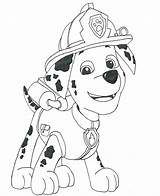 Marshall Paw Patrol Coloring Pages Print Pdf Save sketch template