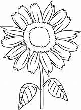 Sunflower Coloring Clip Pretty Line Sweetclipart sketch template