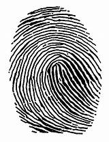 Fingerprint Clip Forensics Finger Fingerprints Fingerprinting Officers Facilities Nicepng Pngimg sketch template