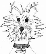 Westie Coloring Pages Template sketch template