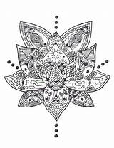 Loto Flor Mandalas Lotus Significado Tatuaje Tattoos Tattoo Mandala Choose Board sketch template