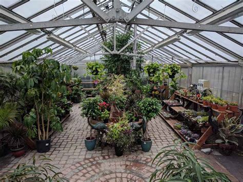 greenhouse indoor plants succulents country mile gardens