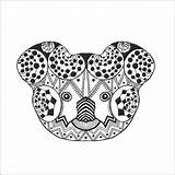 Koala Zentangle Vector Coloring Stylized Head Doodle Drawn Hand Style Illustration Stock Bear Branch Book sketch template