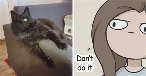 12 Funny Comics Reveal The Reality Of Owning A Cat Bored