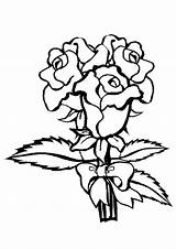 Coloring Pages Rose Roses Printable Flower Garden Cartoon Kids Cliparts Color Adult Book Adults Print Clipart Labels Getcolorings Clipartmag Library sketch template