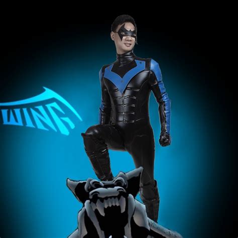 Batman Nightwing Cosplay Costume Arkham City Richard John Dick Grayson