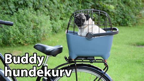 beste hondenfietsmand voor je elektrische fiets  elektrische fietsen center