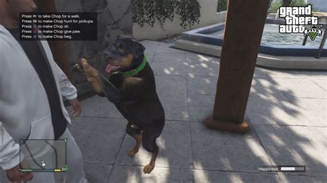 Gta V All Of Chops Tricks Sit Beg And Paw Youtube