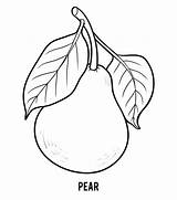 Pear Pera Fructe Colorat Frutas Colorante Coloritura Sad Totuldespremame Illustrazioni sketch template