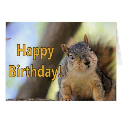 mrsquirrel wishing  happy birthday card zazzlecom happy birthday cards funny birthday