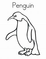 Penguin Pinguin Pingwin Mewarnai Kolorowanki Marimewarnai Sketsa Club Ausmalbild Tk Paud Kolase Dzieci Angsa Macaroni Coloringhome sketch template