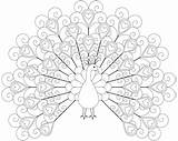 Peacock Coloring Pages Printable Color Outline Hearts Heart Print Colouring Kids Tattoo Mandala Realistic Sheets Patterned Tail Sweet Adult Adults sketch template