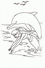 Dolphin Delphine Ausmalbild Coloringhome sketch template
