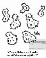 Amoeba Drawing Bacteria Organisms Getdrawings Cartoons Comics sketch template